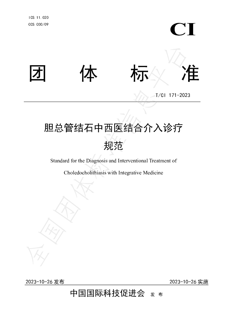 T/CI 171-2023 标准预览