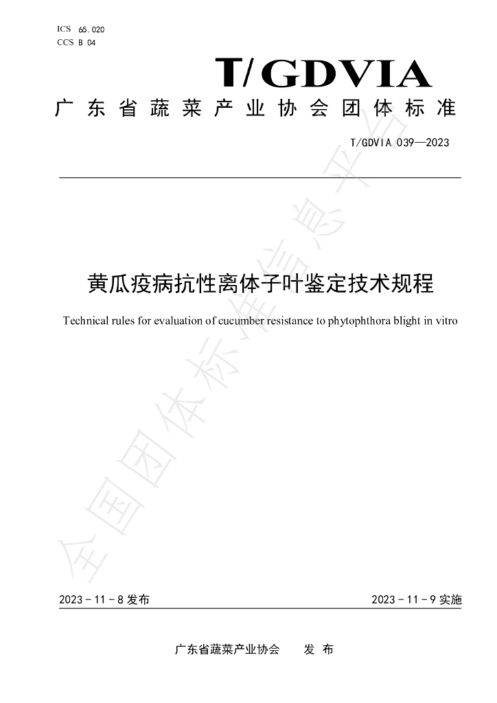 T/GDVIA 039-2023 标准预览