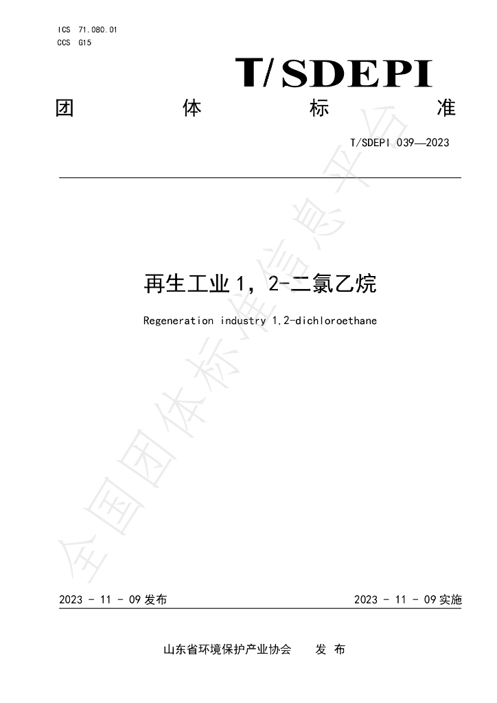 T/SDEPI 039-2023 标准预览