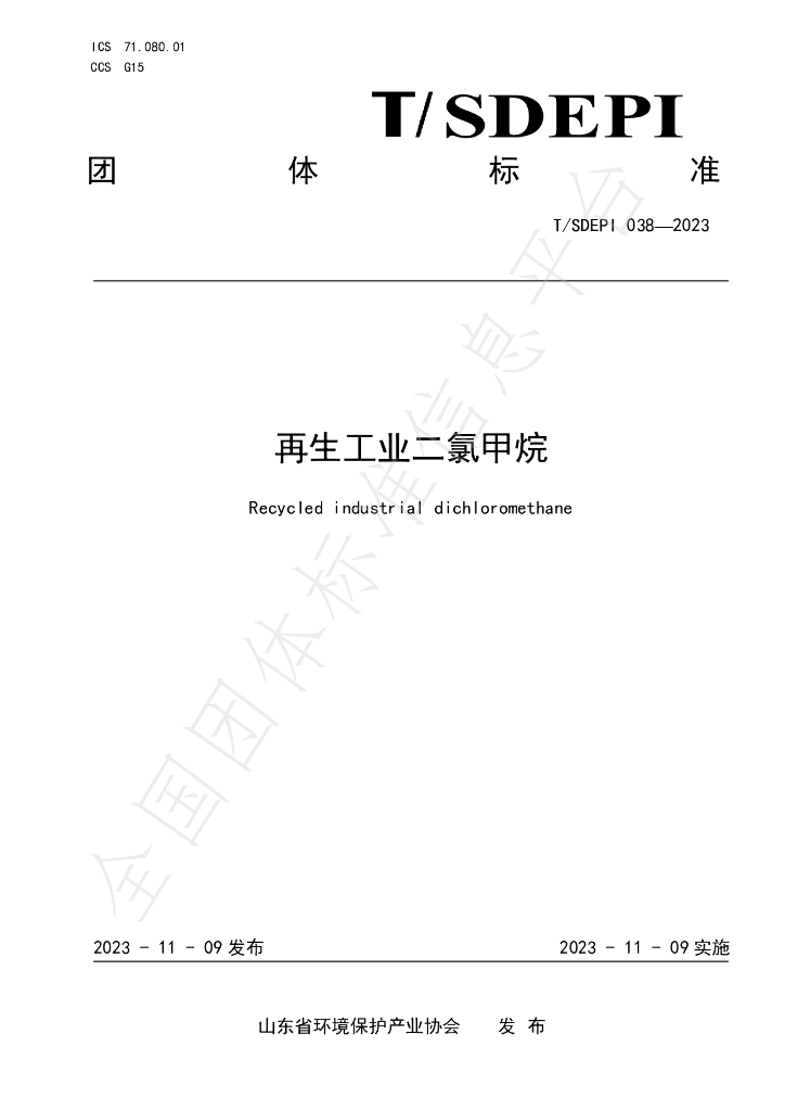T/SDEPI 038-2023 标准预览