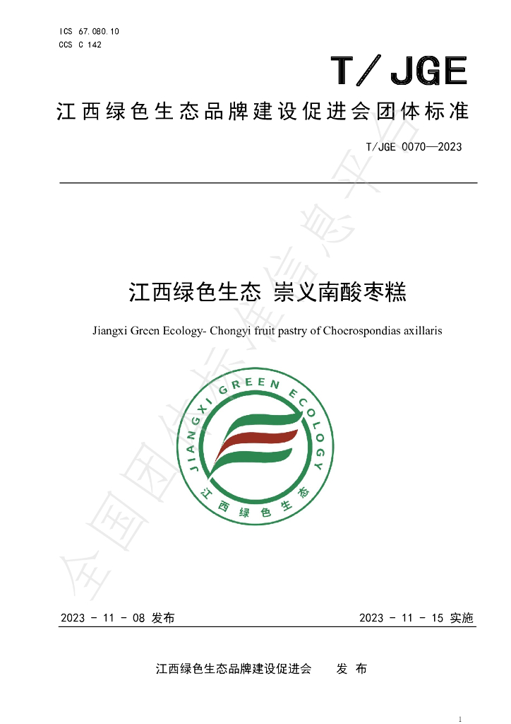 T/JGE 0070-2023 标准预览
