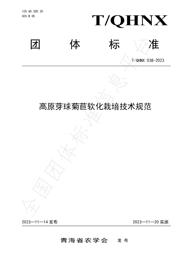 T/QHNX 038-2023 标准预览