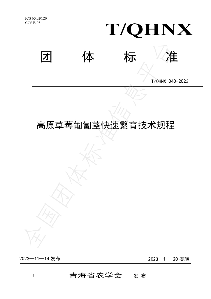 T/QHNX 040-2023 标准预览