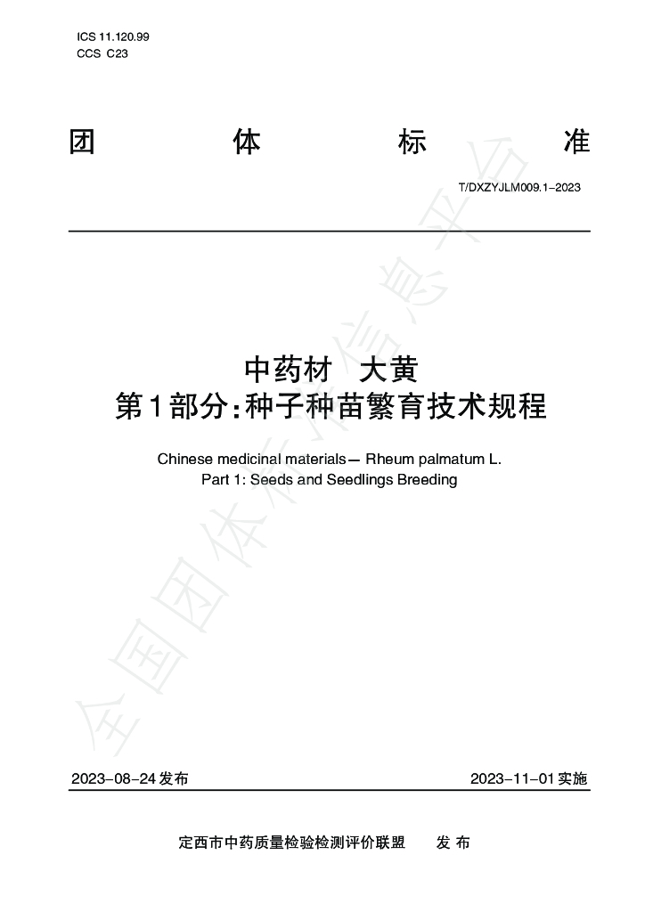T/DXZYJLM 009.1-2023 标准预览