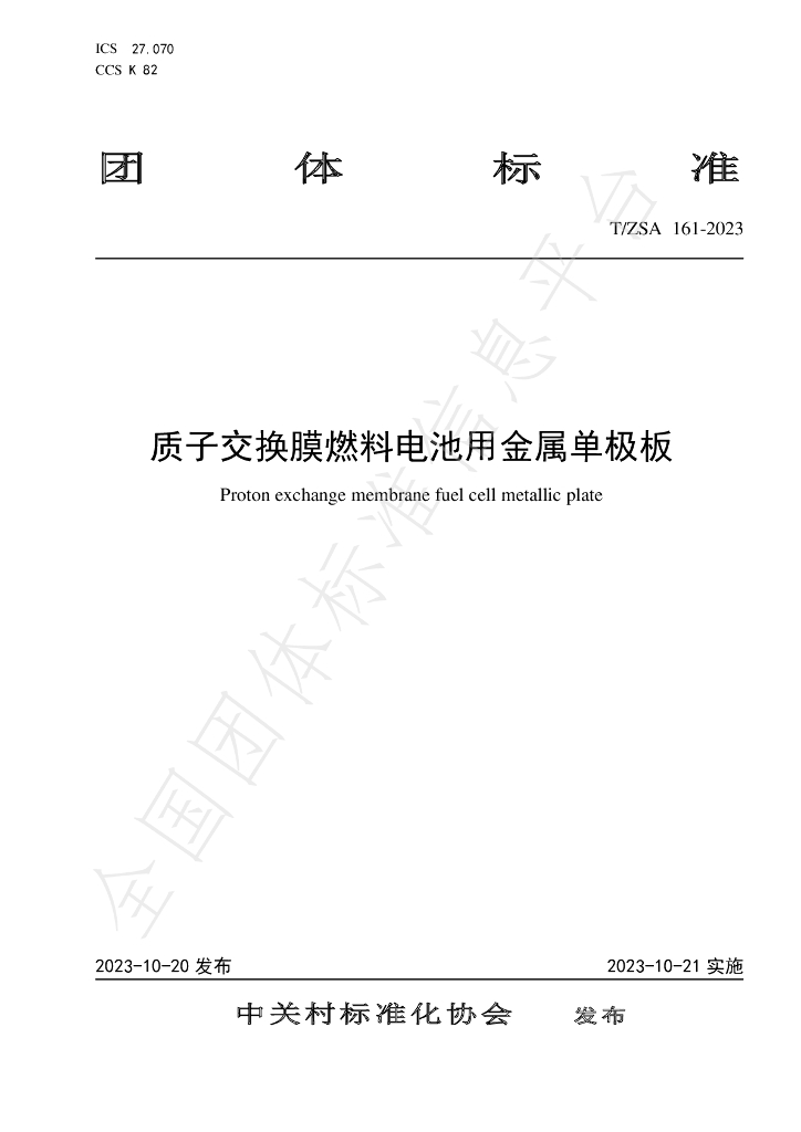 T/ZSA 161-2023 标准预览