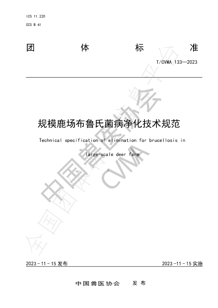 T/CVMA 133-2023 标准预览