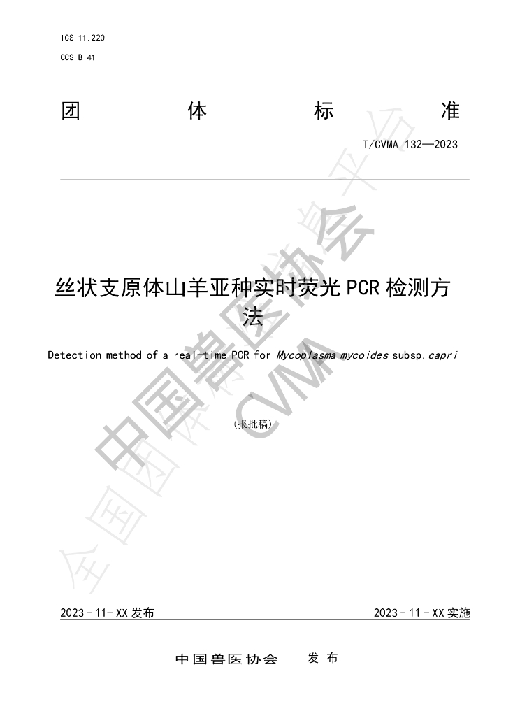 T/CVMA 132-2023 标准预览