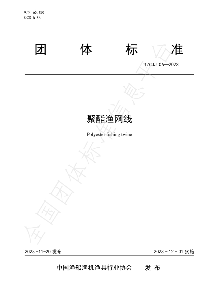 T/CJJ 06-2023 标准预览