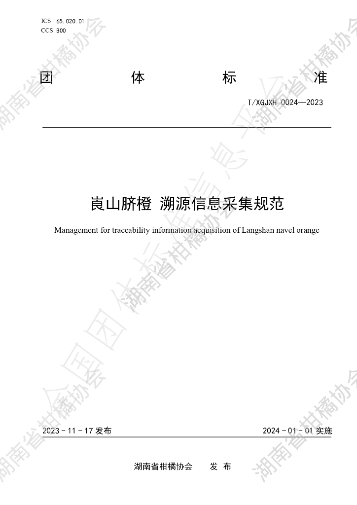 T/HNSGJXH 0024-2023 标准预览