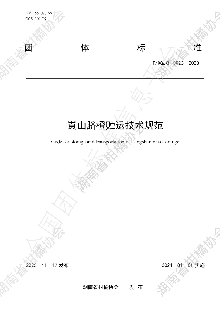 T/HNSGJXH 0023-2023 标准预览