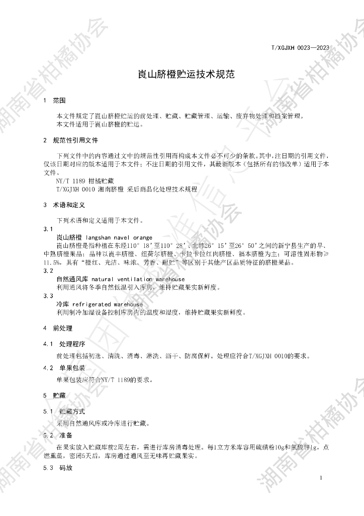 T/HNSGJXH 0023-2023 标准预览