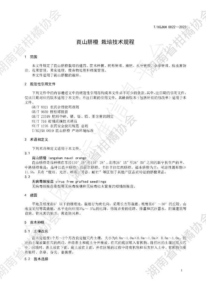 T/HNSGJXH 0022-2023 标准预览