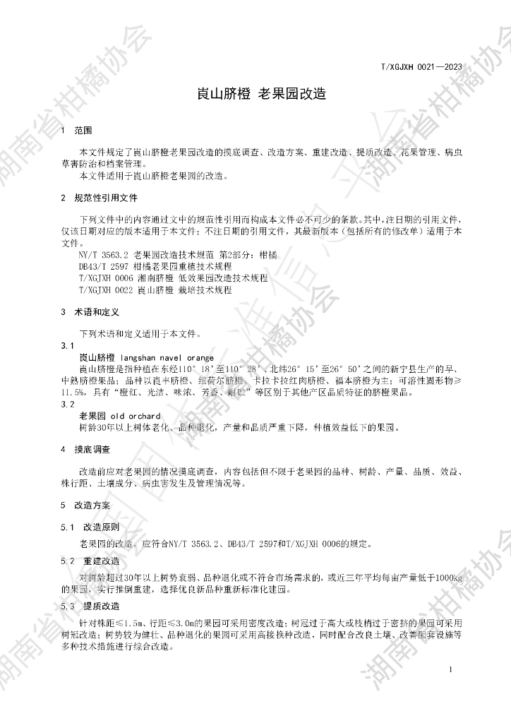 T/HNSGJXH 0021-2023 标准预览