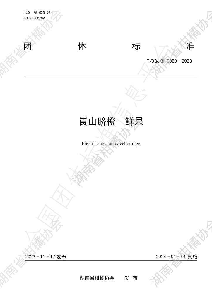 T/HNSGJXH 0020-2023 标准预览