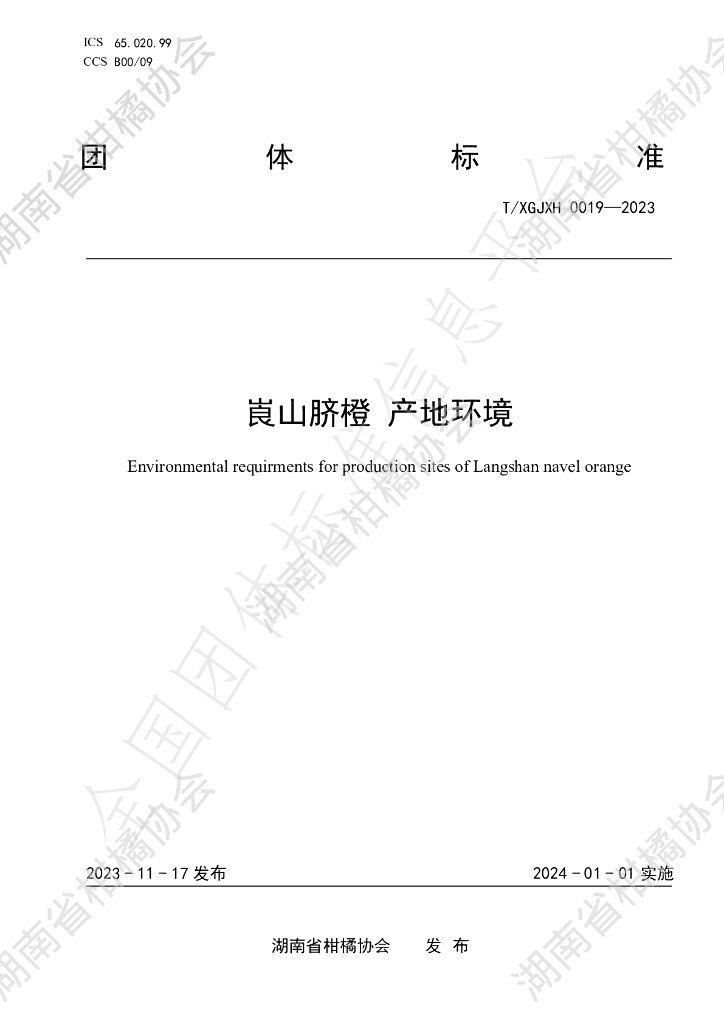 T/HNSGJXH 0019-2023 标准预览
