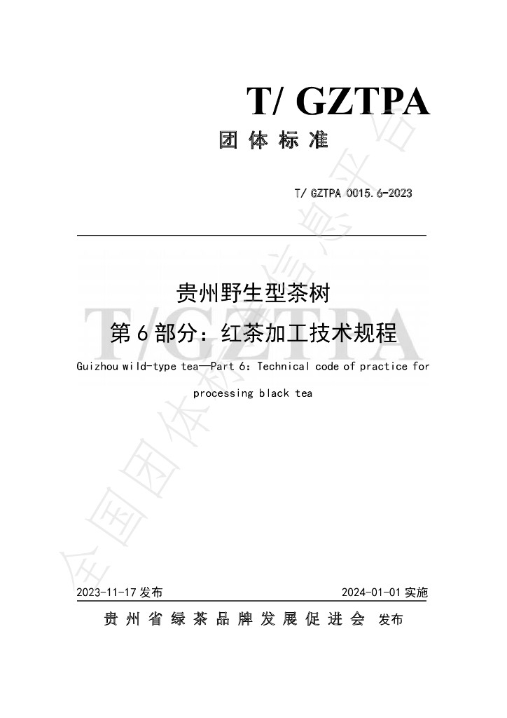 T/GZTPA 0015.6-2023 标准预览