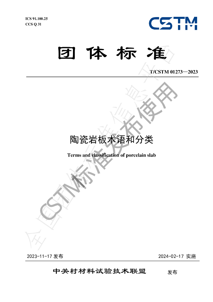 T/CSTM 01273-2023 标准预览