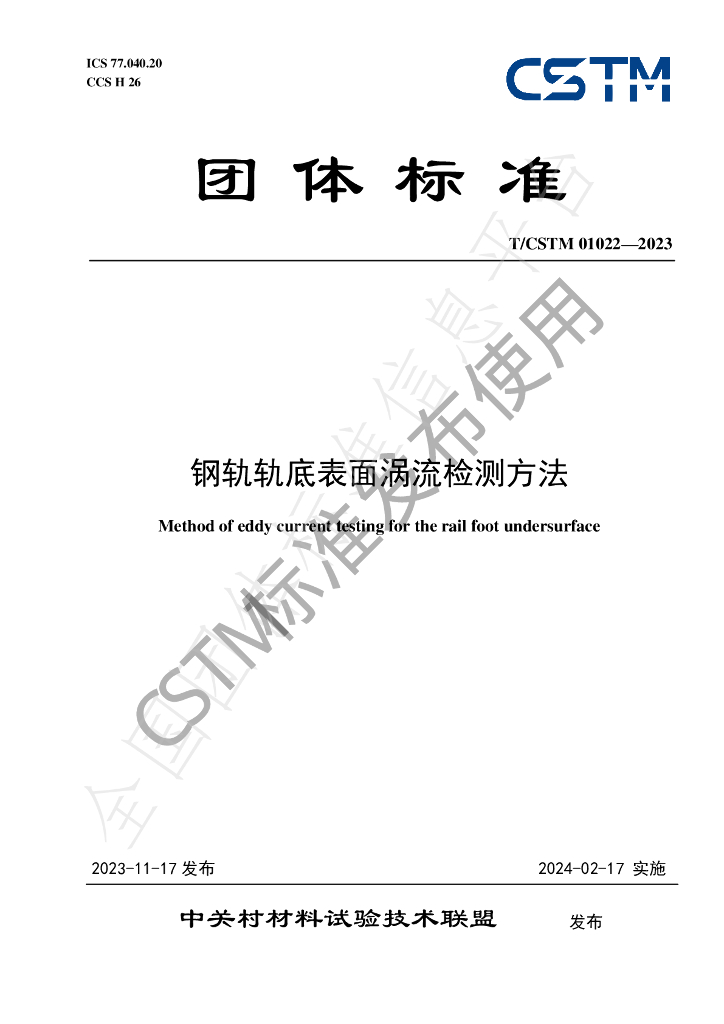 T/CSTM 01022-2023 标准预览