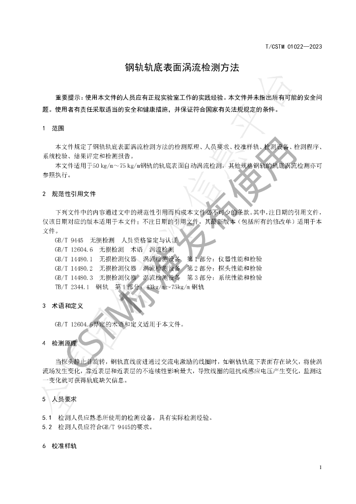 T/CSTM 01022-2023 标准预览