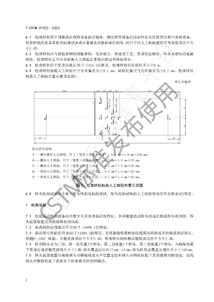 T/CSTM 01022-2023 标准预览