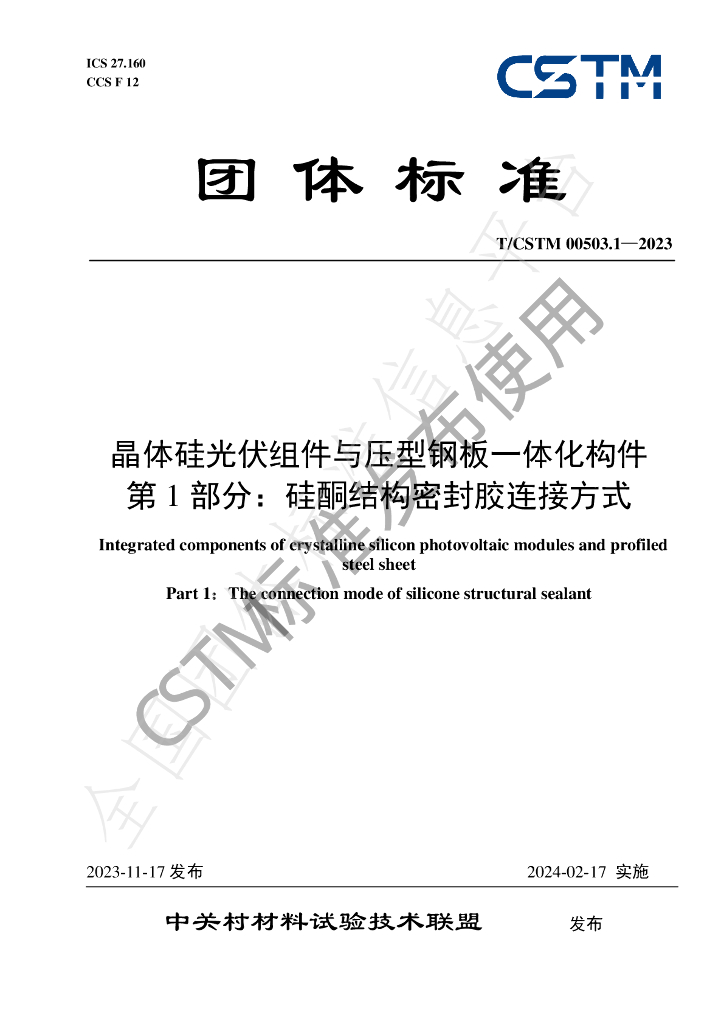 T/CSTM 00503.1-2023 标准预览