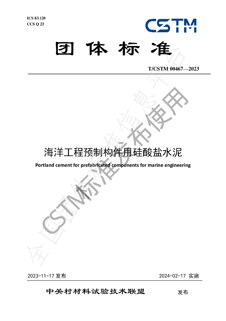 T/CSTM 00467-2023 标准预览