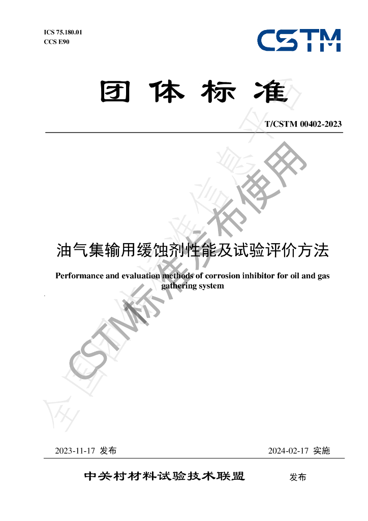 T/CSTM 00402-2023 标准预览