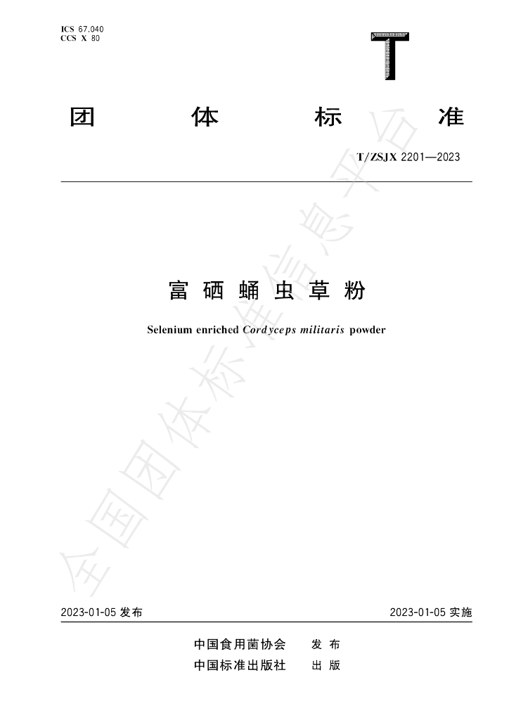 T/ZSJX 2201-2023 标准预览