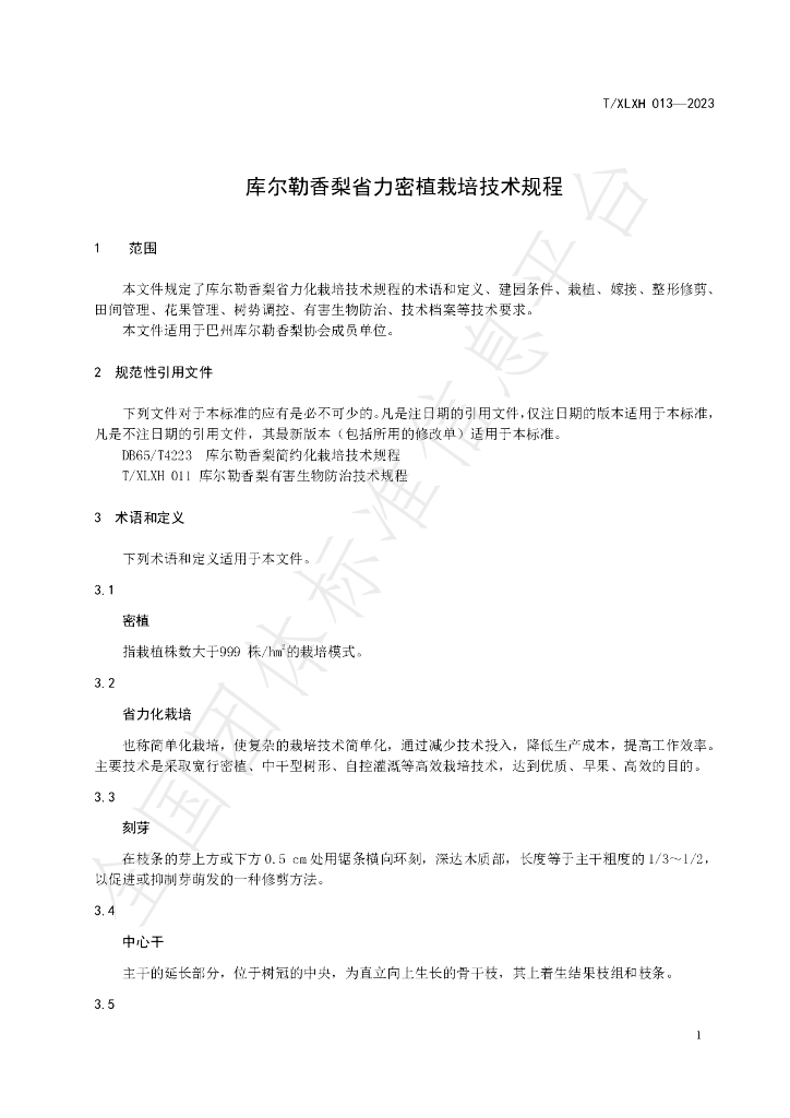 T/XLXH 013-2023 标准预览