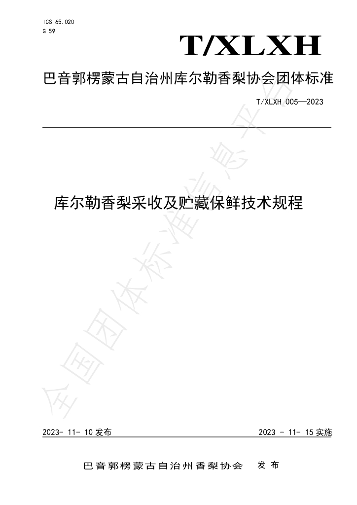 T/XLXH 005-2023 标准预览