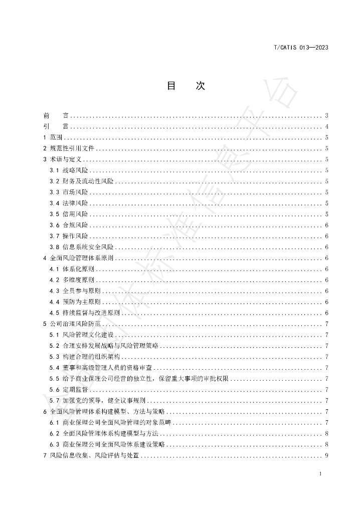T/CATIS 013-2023 标准预览