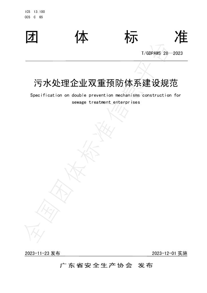 T/GDPAWS 28-2023 标准预览