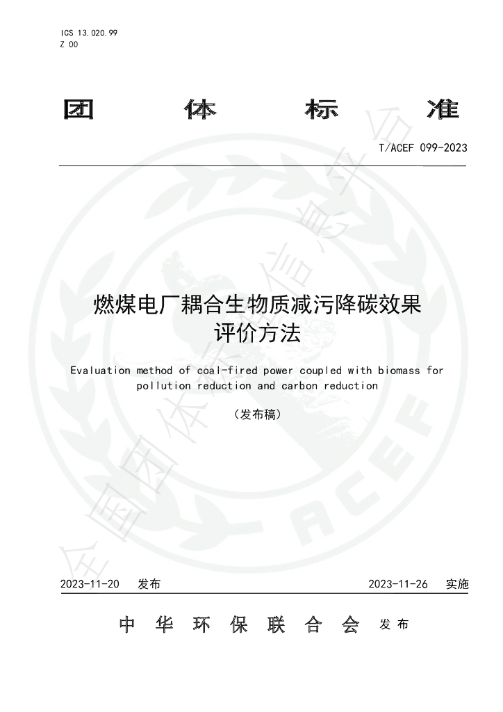 T/ACEF 099-2023 标准预览