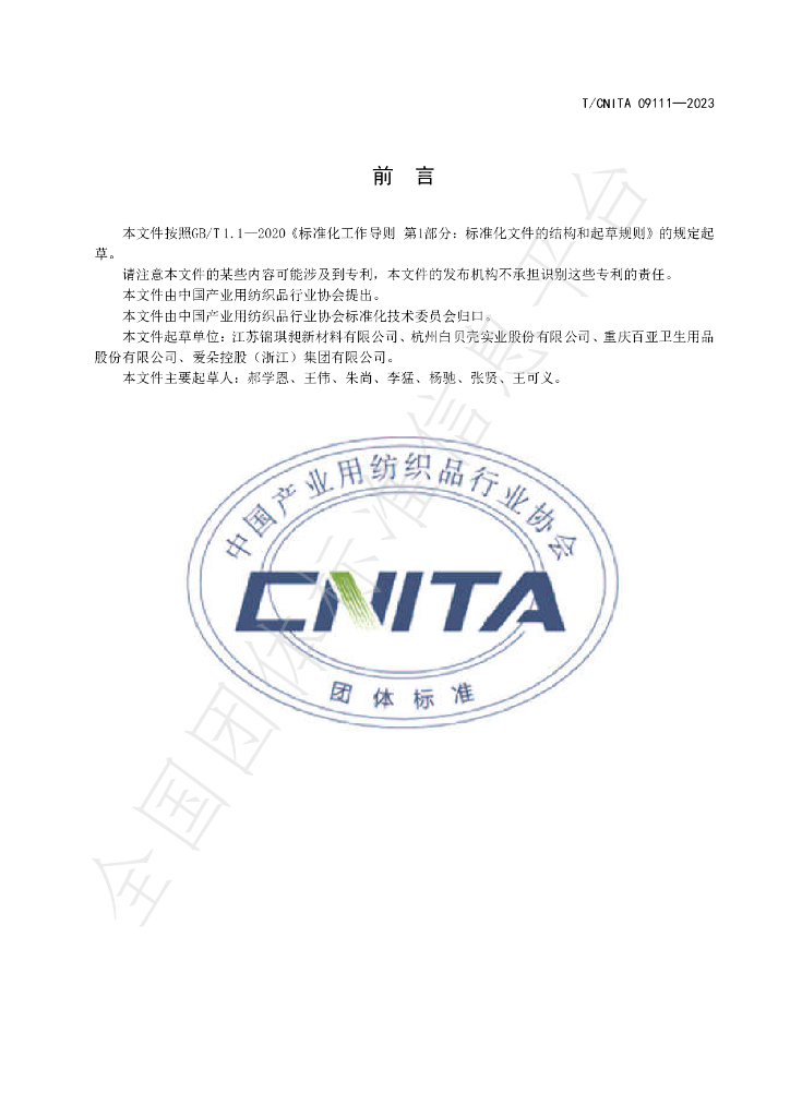 T/CNITA 09111-2023 标准预览