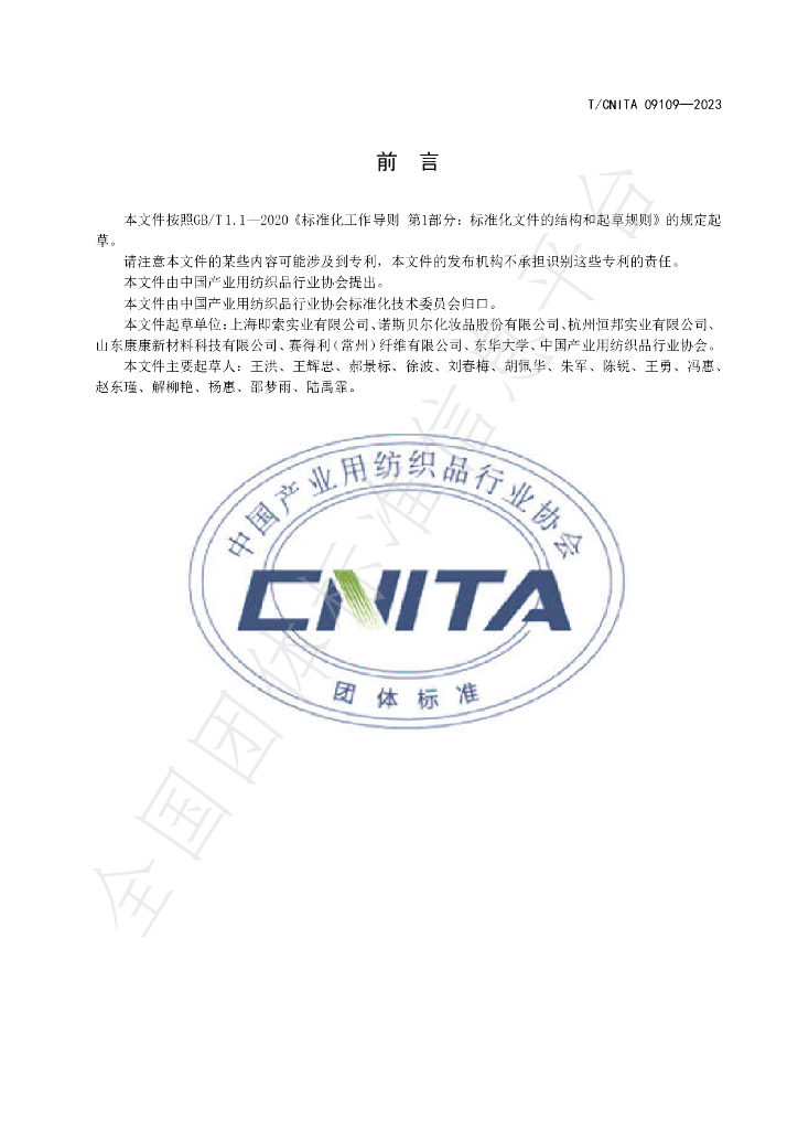 T/CNITA 09109-2023 标准预览