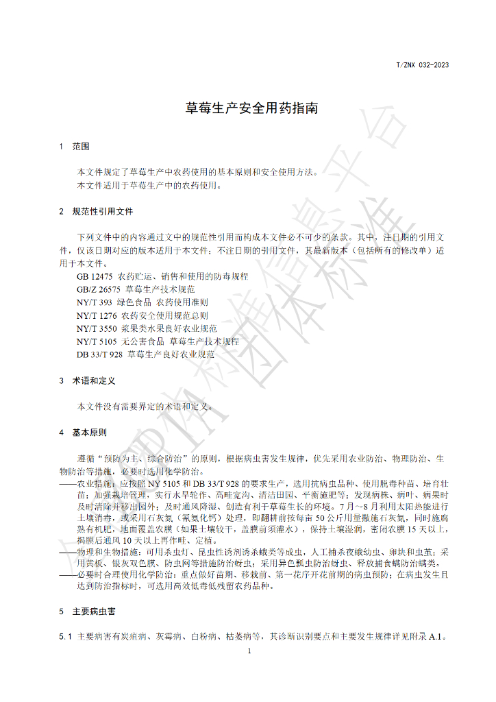 T/ZNX 032-2023 标准预览
