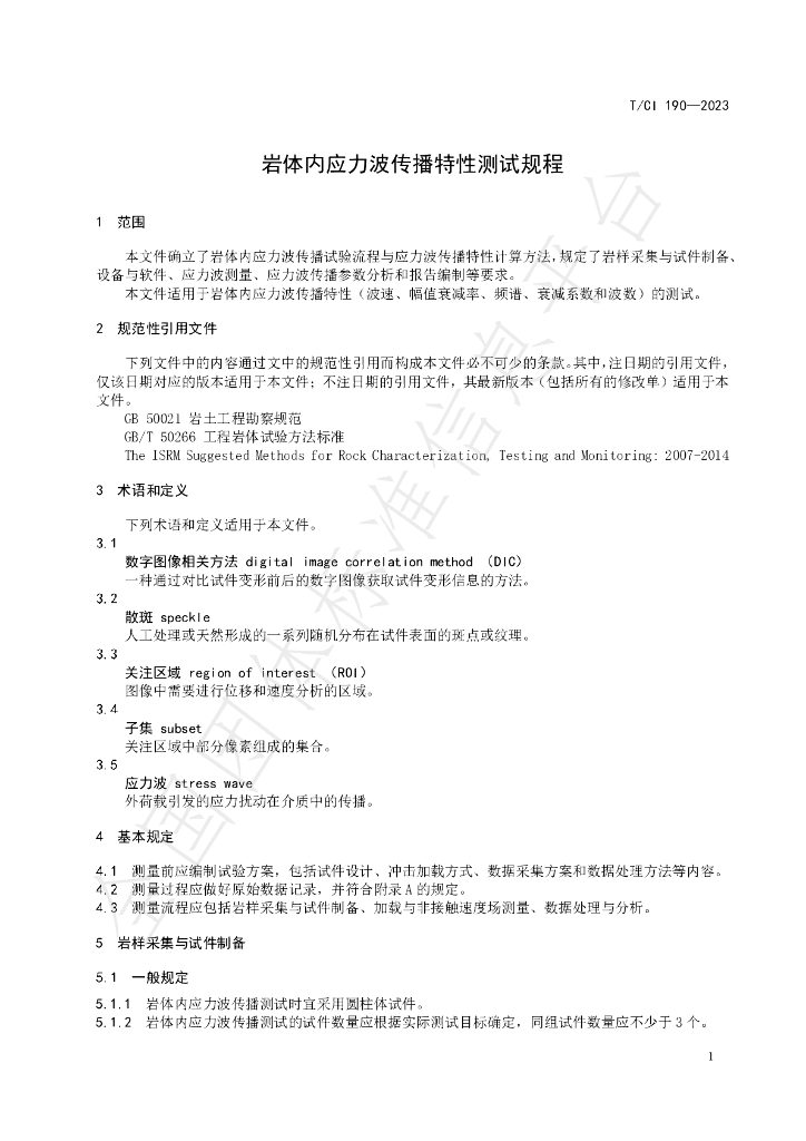 T/CI 190-2023 标准预览