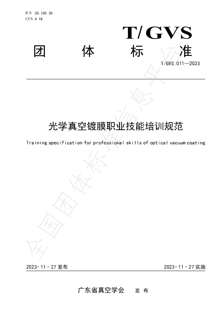 T/GVS 011-2023 标准预览
