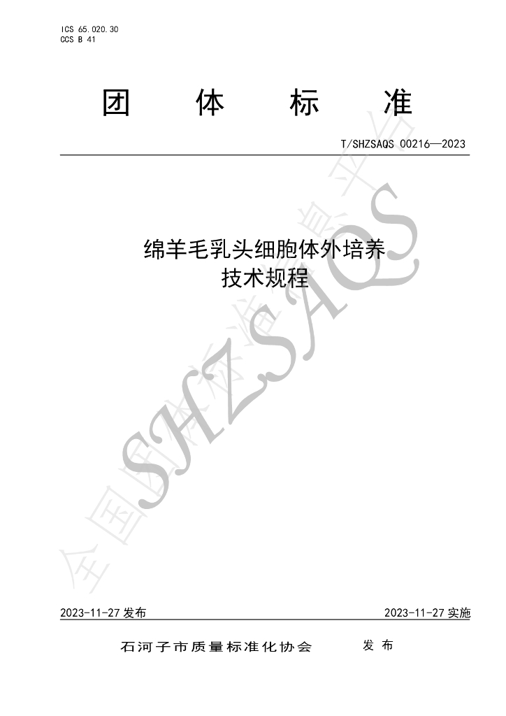 T/SHZSAQS 00216-2023 标准预览