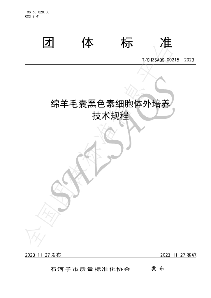 T/SHZSAQS 00215-2023 标准预览