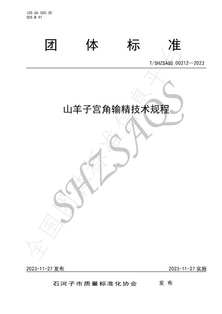 T/SHZSAQS 00212-2023 标准预览