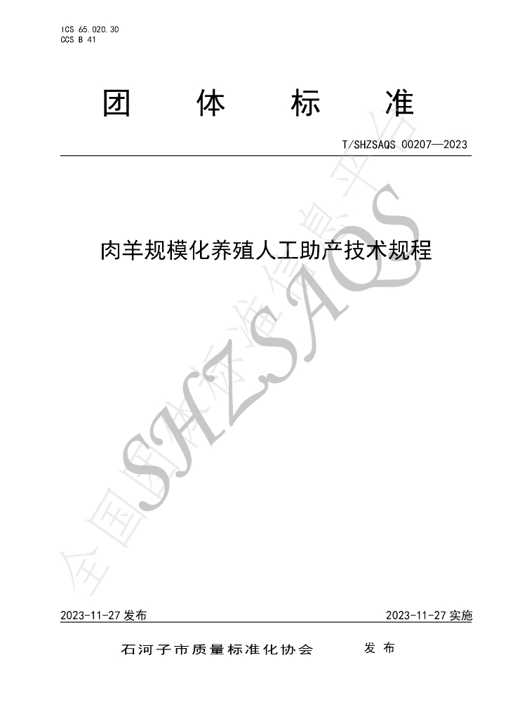 T/SHZSAQS 00207-2023 标准预览