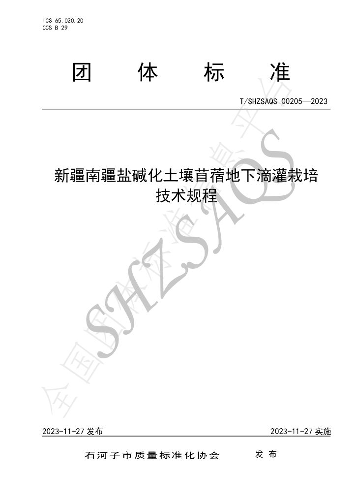 T/SHZSAQS 00205-2023 标准预览