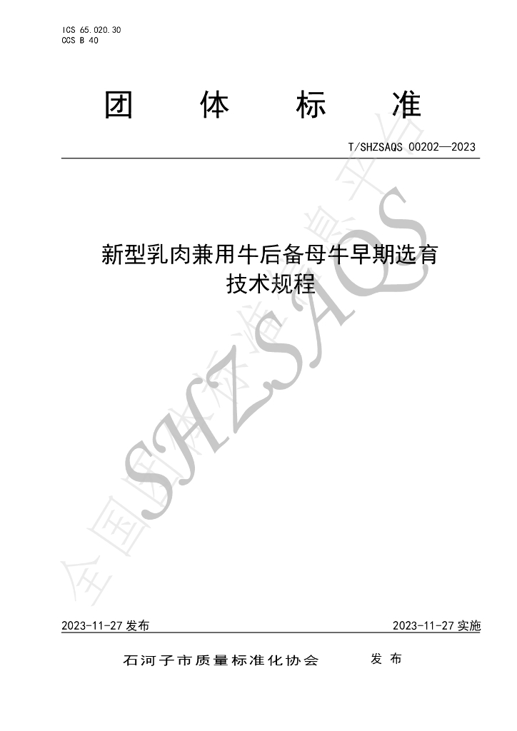 T/SHZSAQS 00202-2023 标准预览