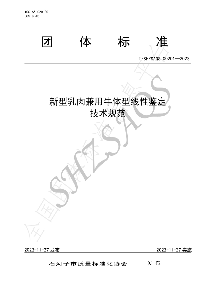 T/SHZSAQS 00201-2023 标准预览