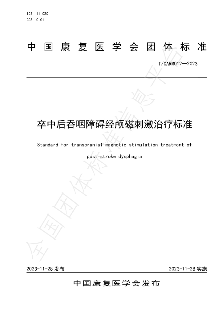 T/CARM 012-2023 标准预览