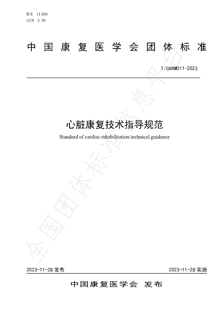T/CARM 011-2023 标准预览