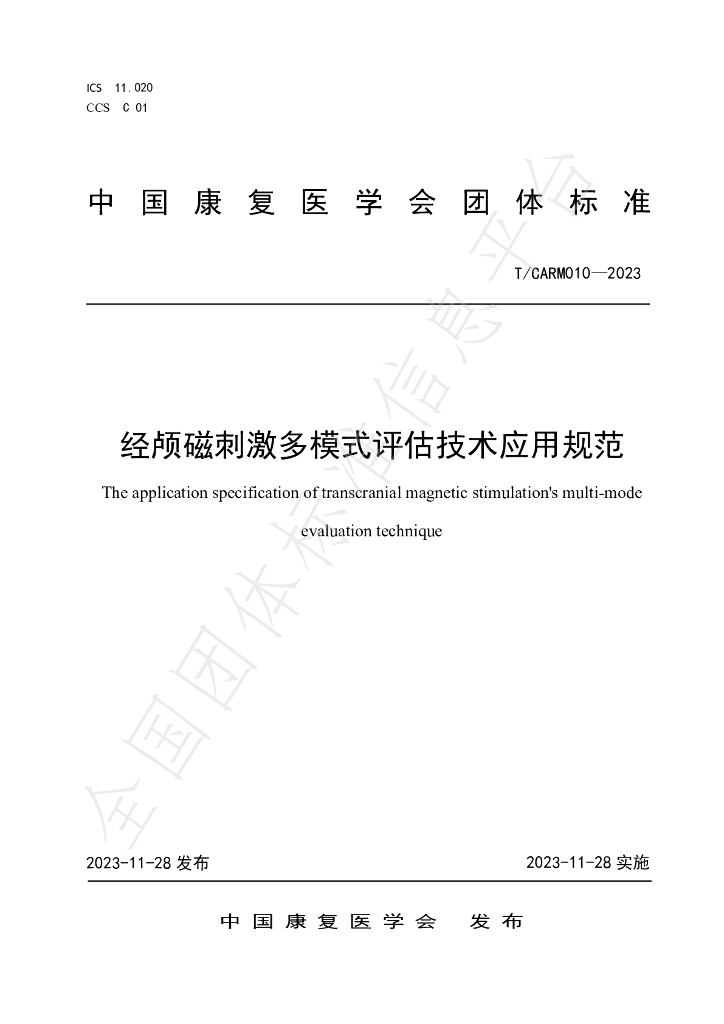 T/CARM 010-2023 标准预览