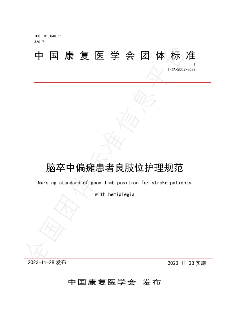 T/CARM 009-2023 标准预览