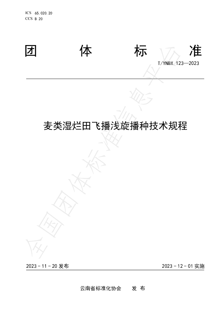 T/YNBX 123-2023 标准预览